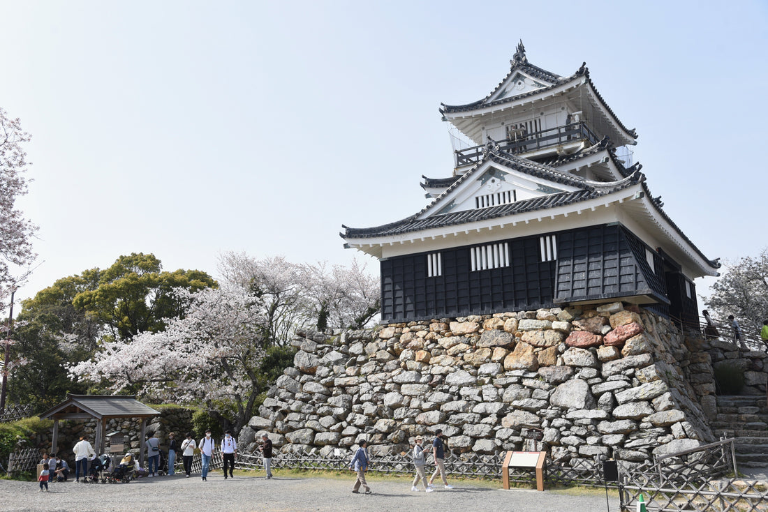 Top or Best Influencer Brand Partnership Agencies and Companies in Hamamatsu, Japan