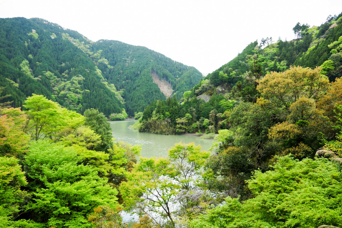 Top or Best Athlete Agencies and Companies in Hamamatsu, Japan