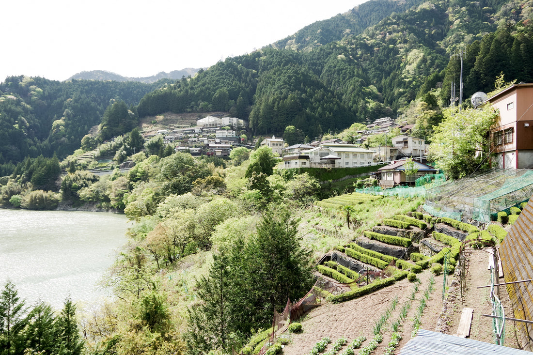 Top or Best Talent Management Agencies and Companies in Hamamatsu, Japan