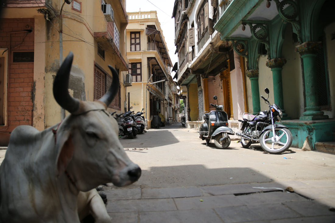 Top or Best Graphic Design Agencies and Companies in Ahmedabad, India