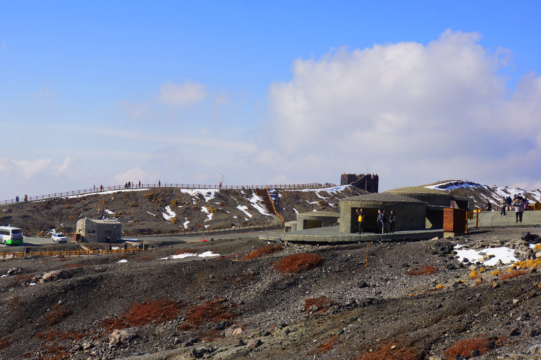 Top or Best Twitch Management Agencies in Kumamoto, Japan