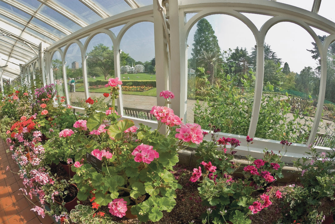 Top or Best Flyer Design Agencies and Companies in Birmingham, England