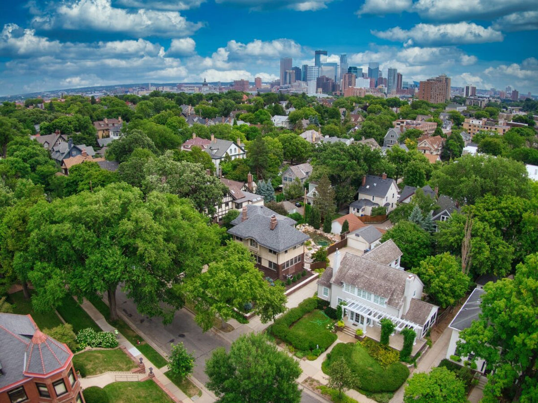 Top and Best Infographic Design Agencies and Companies in St. Louis Park Minnesota