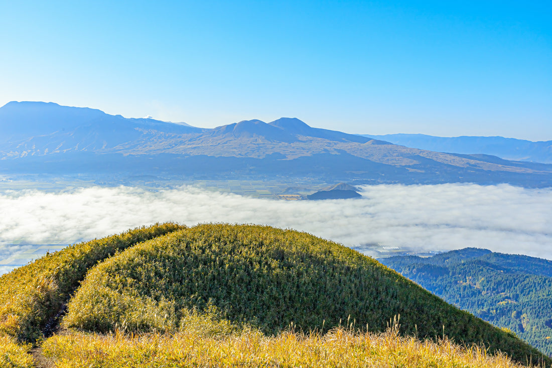 Top or Best AR Filter & Lens Design Agencies and Companies in Kumamoto, Japan