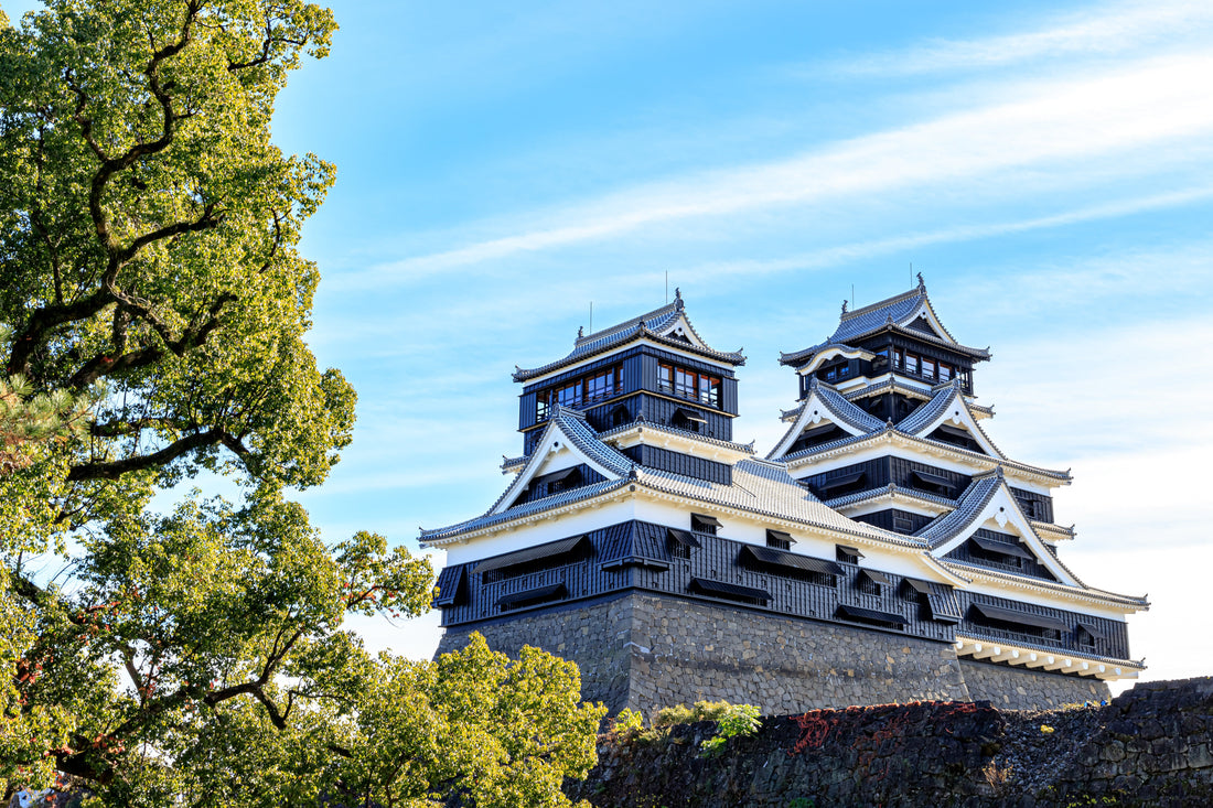 Top or Best Graphic Design Subscription Services in Kumamoto, Japan