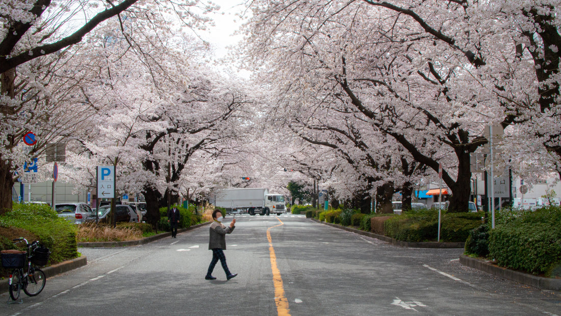 Top or Best LinkedIn Management Agencies in Sagamihara, Japan