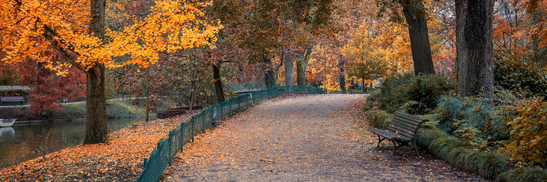 Top or Best Snapchat Management Agencies and Companies in Bordeaux, France