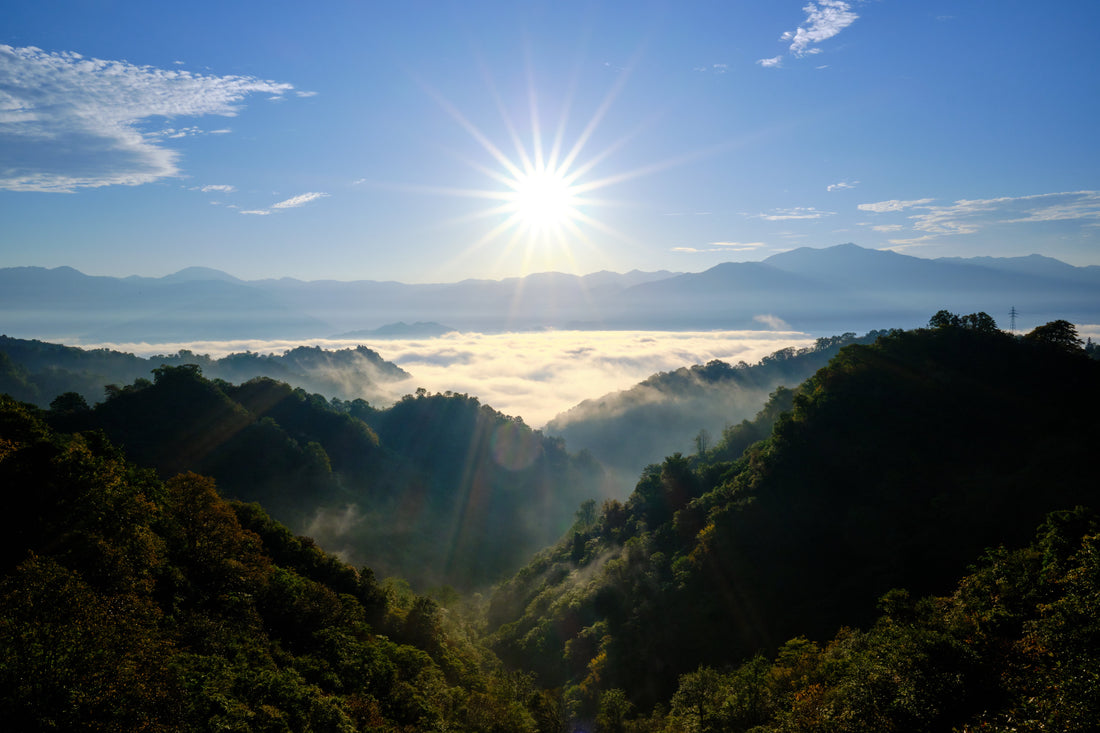 Top or Best Cartoon and Comic Artists and Agencies in Niigata, Japan