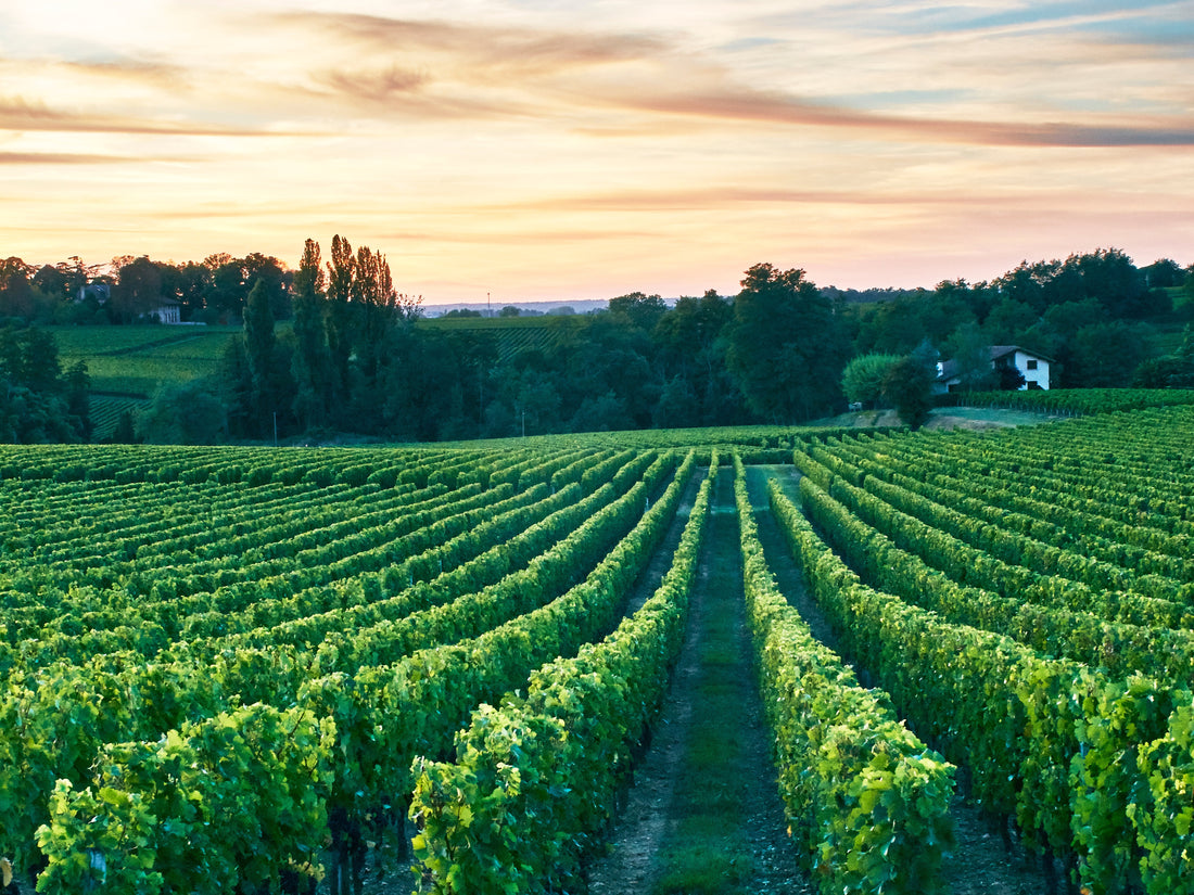 Top or Best Logo Design Agencies and Companies in Bordeaux, France