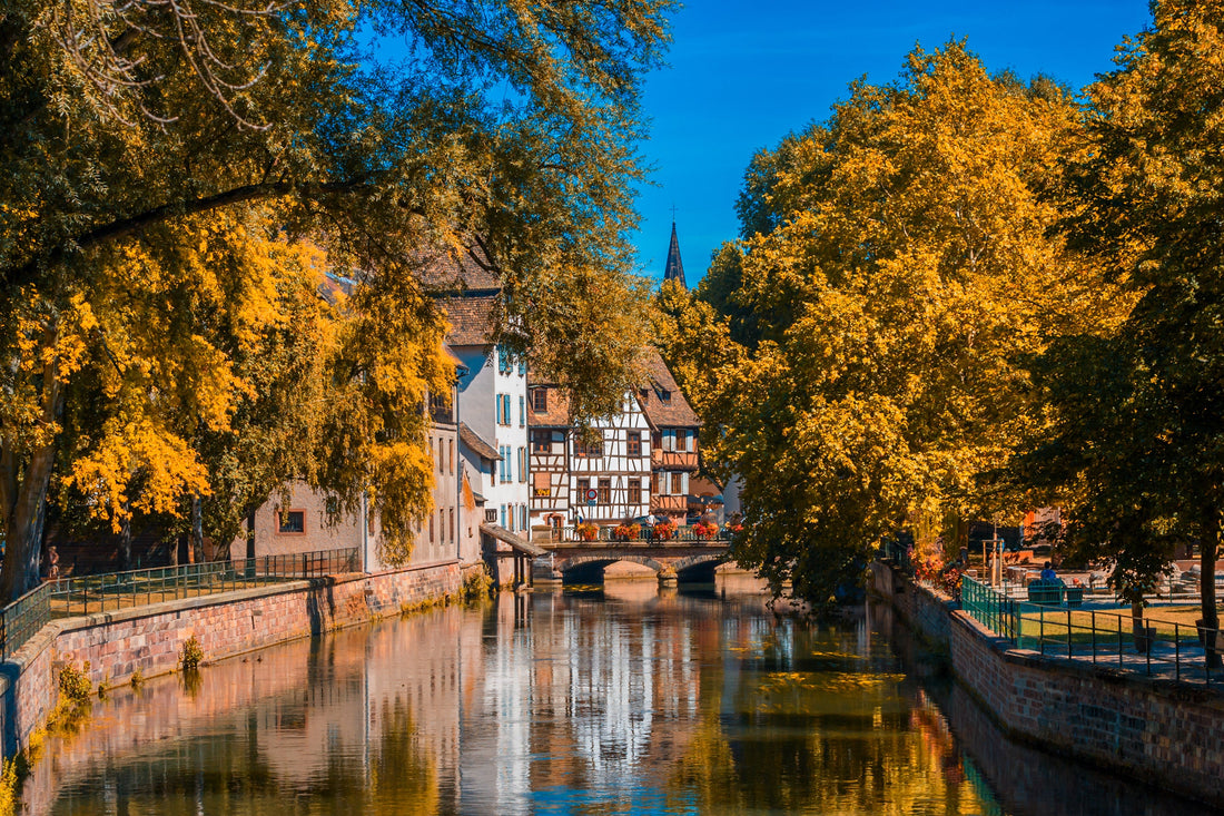 Top or Best Influencer Agencies and Companies in Strasbourg, France