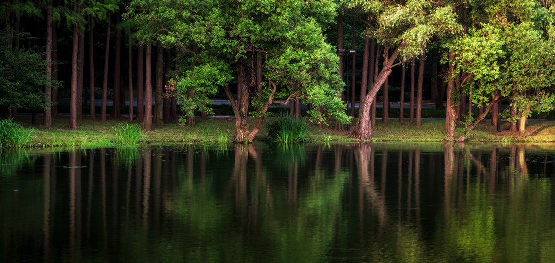 Top or Best Instagram Management Agencies in Kumamoto, Japan