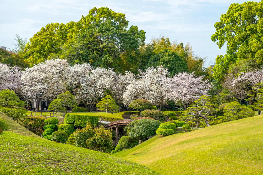 Top or Best Brand Partnership Agencies and Companies in Kumamoto, Japan