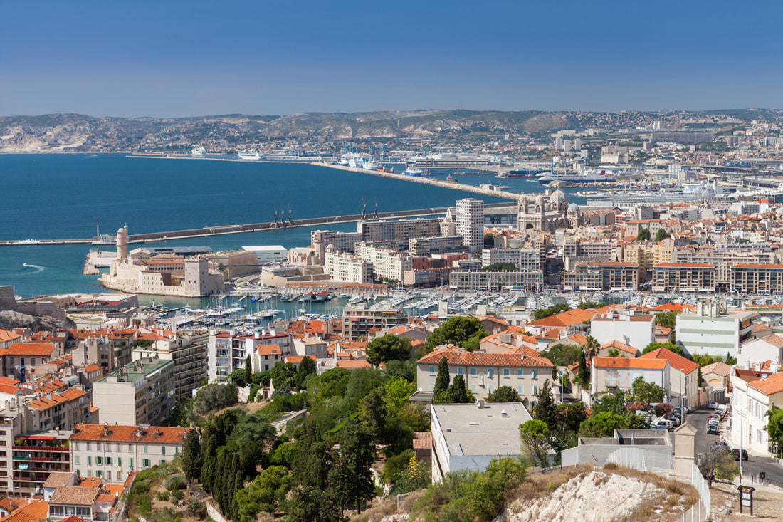 Top or Best Portraits & Caricatures Agencies and Companies in Montpellier, France