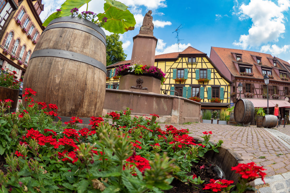 Top or Best Photo Editing Subscription Agencies and Companies in Strasbourg, France