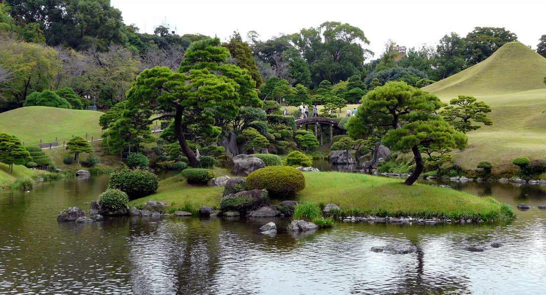 Top or Best Influencer Brand Collaboration Agencies and Companies in Kumamoto, Japan