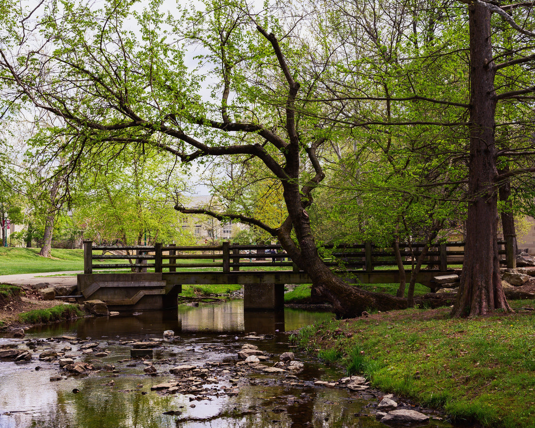 Top or Best Business Twitter Management Subscription Agencies and Companies in Bloomington, Indiana