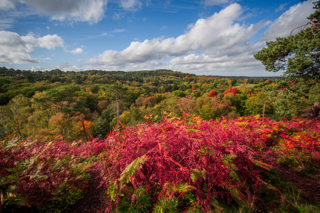 Top or Best Photo Editing Subscription Services in Birmingham, England