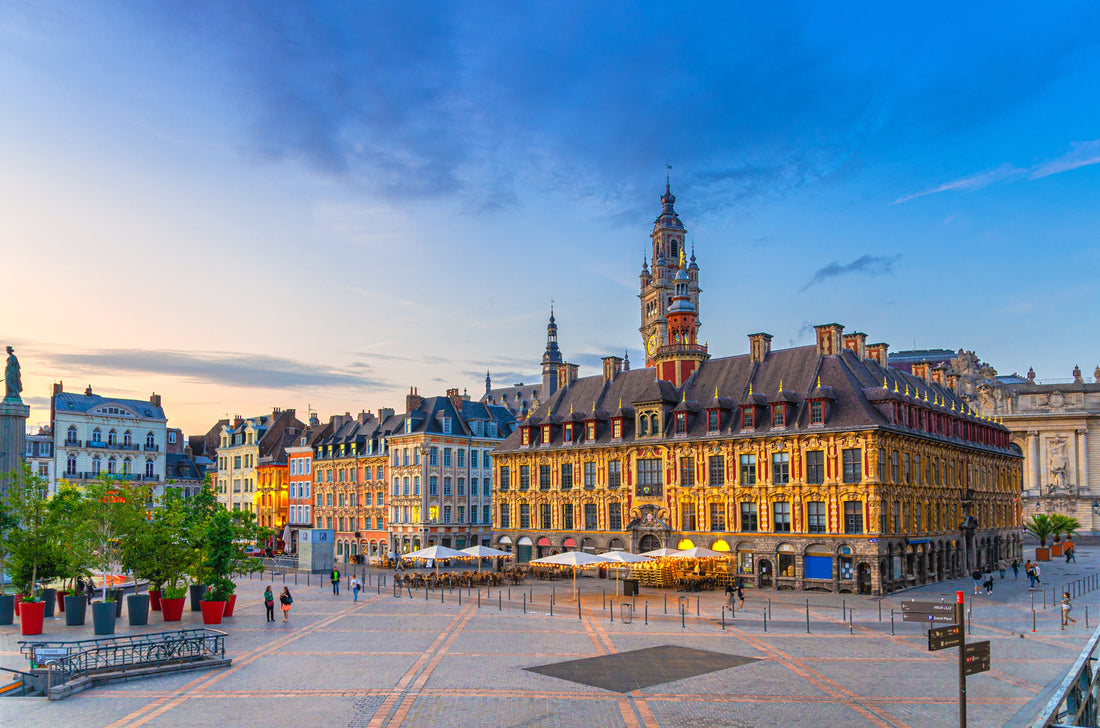 Top or Best YouTube Management Agencies and Companies in Lille, France