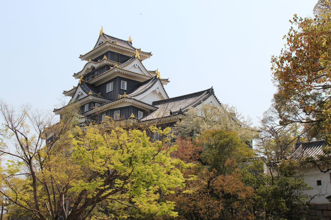 Top or Best Flyer Design Services in Okayama, Japan