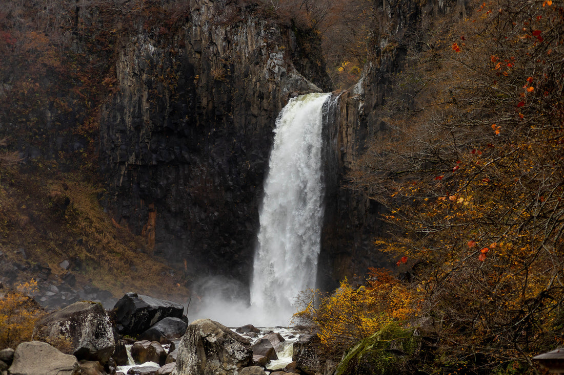 Top or Best NFT Art Agencies and Creators in Niigata, Japan