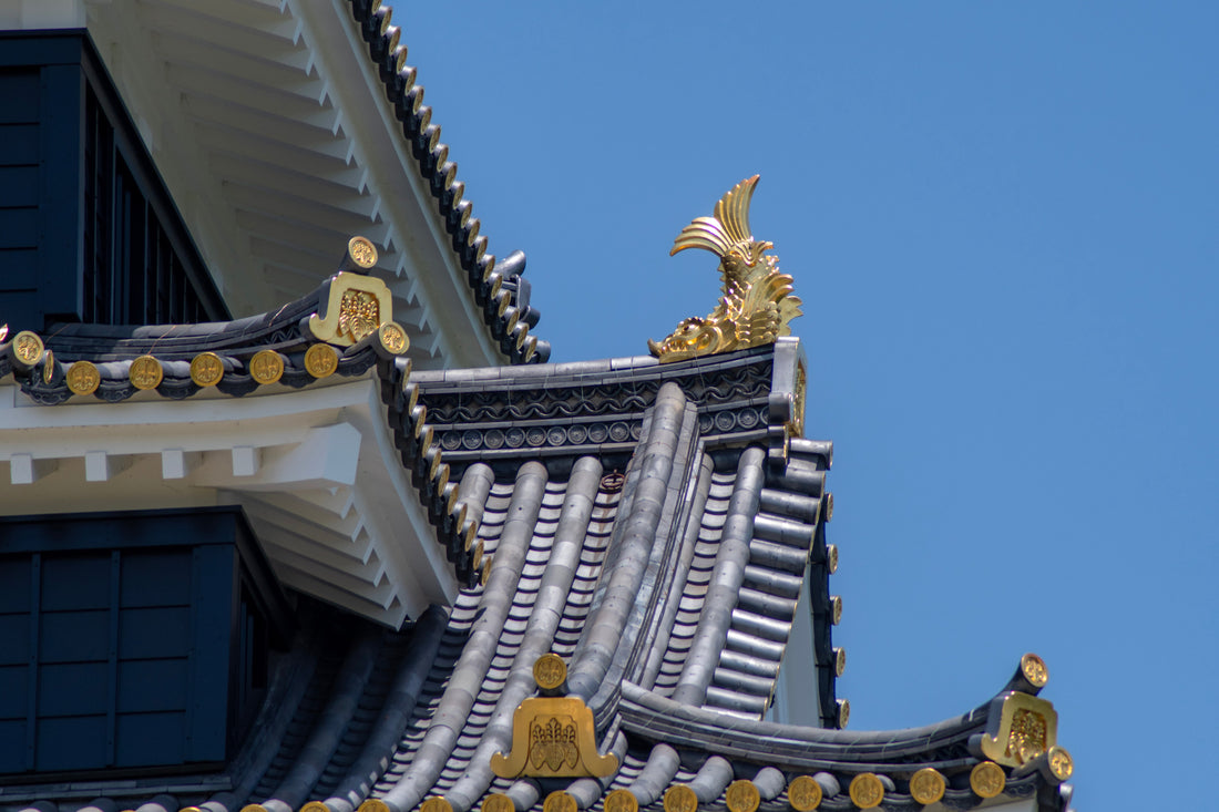 Top or Best Infographic Design Services in Okayama, Japan