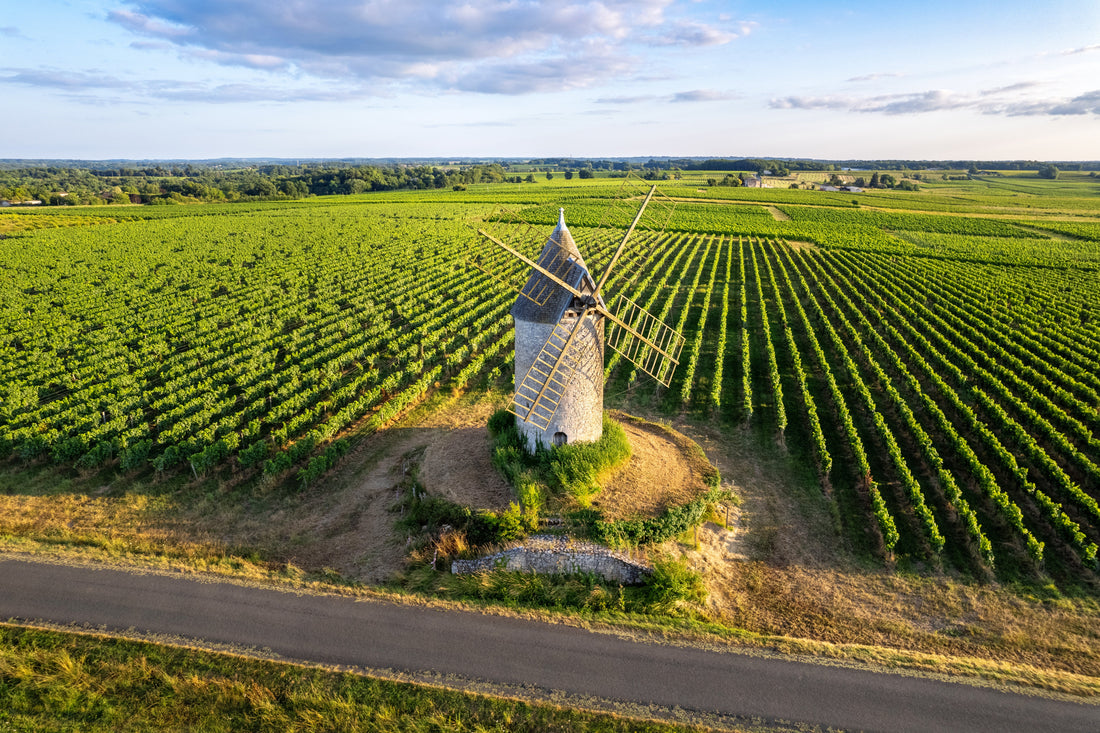 Top or Best Twitch Management Agencies and Companies in Bordeaux, France