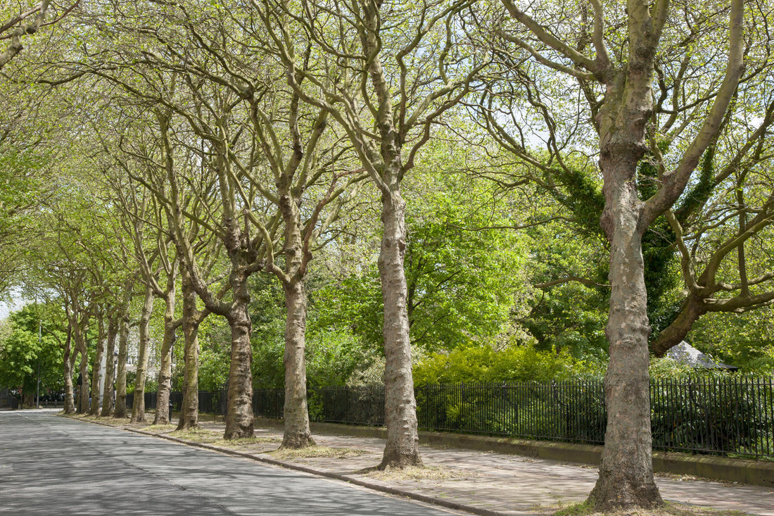 Top or Best X (Twitter) Management Agencies and Companies in Liverpool, England