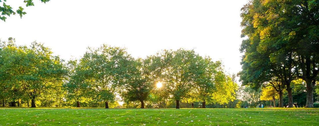 Top or Best Influencer Campaign Management Agencies and Companies in Birmingham, England