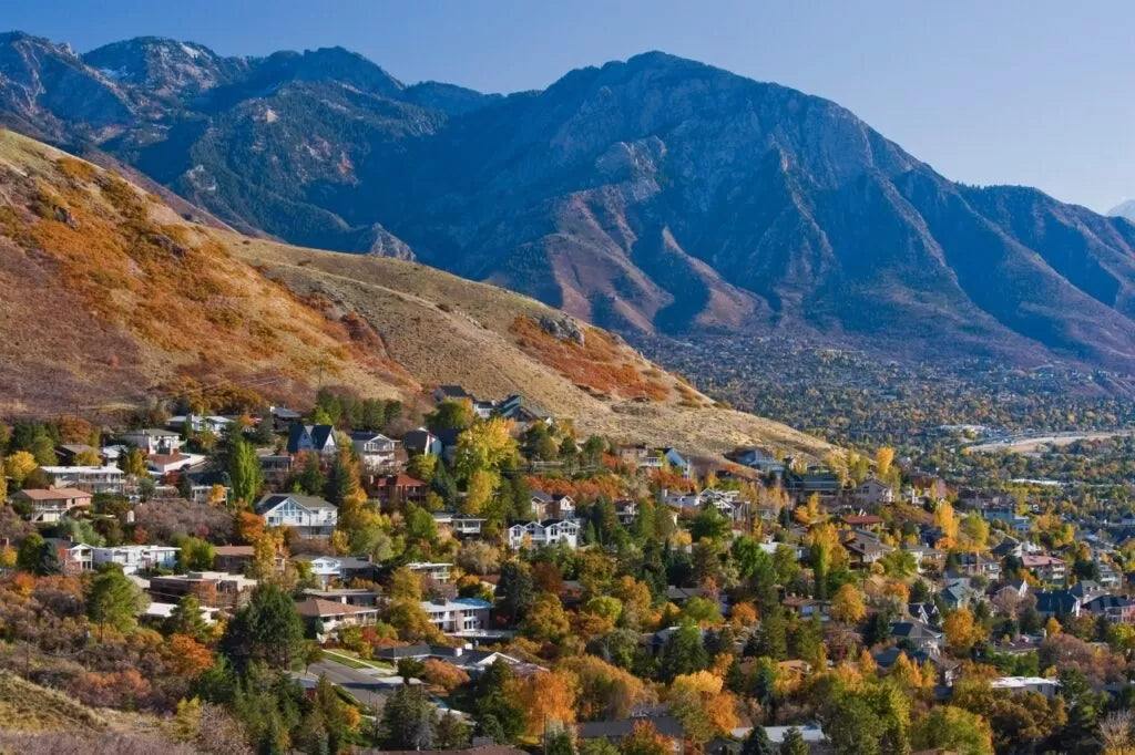 Top or Best Social Media Design Agencies and Companies in Sandy, Utah