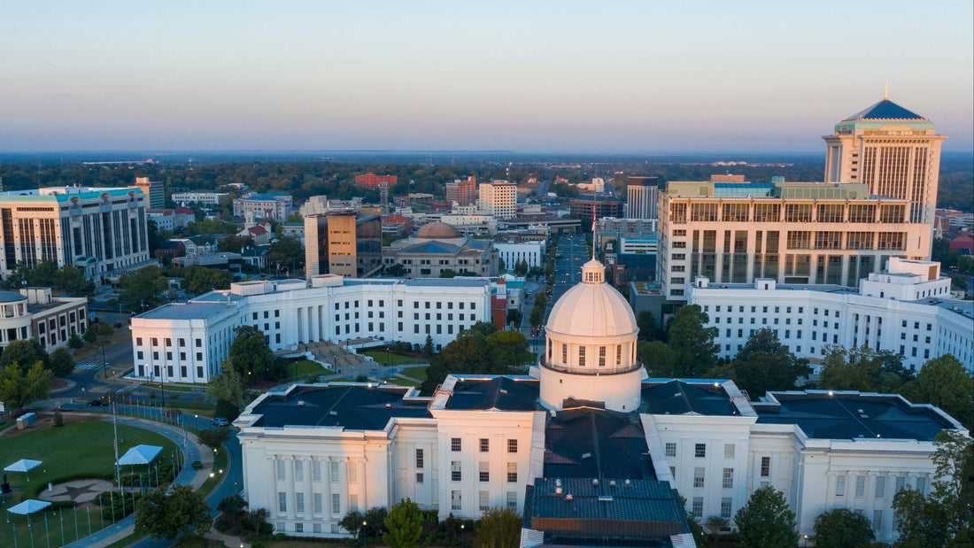 Top or Best Mural Design Agencies and Companies in Hoover, Alabama