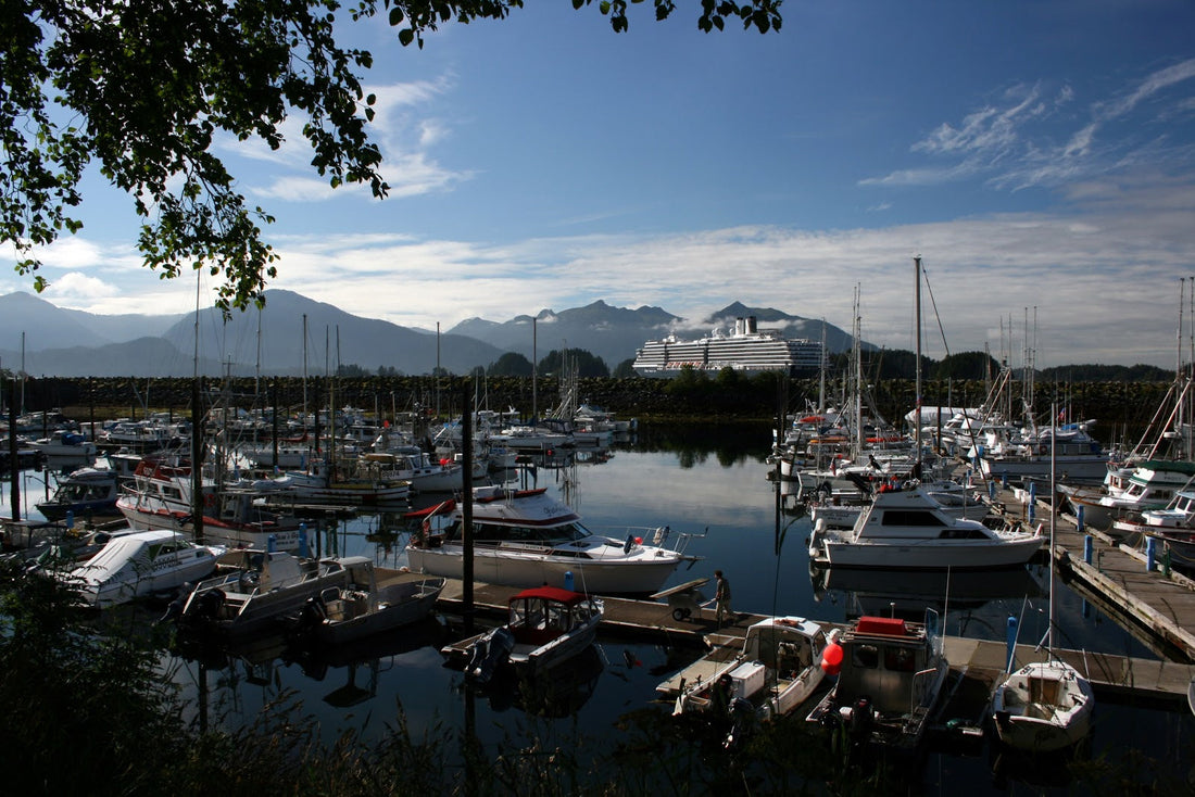 Top or Best Invitation Design Agencies and Companies in Tanaina, Alaska