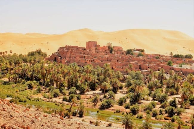 Top or Best Influencer Brand Partnership Agencies and Companies in Algeria