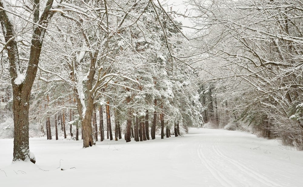 Top or Best Catalog Design Agencies and Companies in Amherst, New York