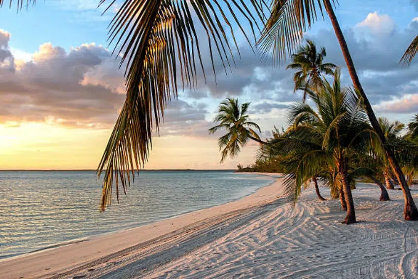 Top Presentation Design Agencies in the Bahamas