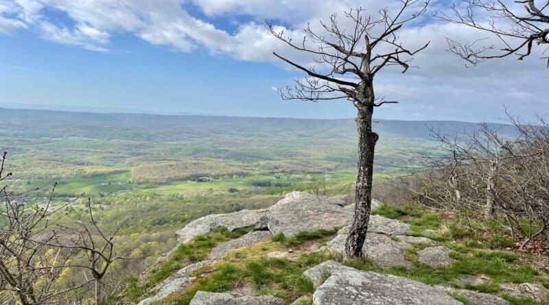 Top or Best Animation and Motion Graphics Agencies and Companies in Teays Valley, West Virginia