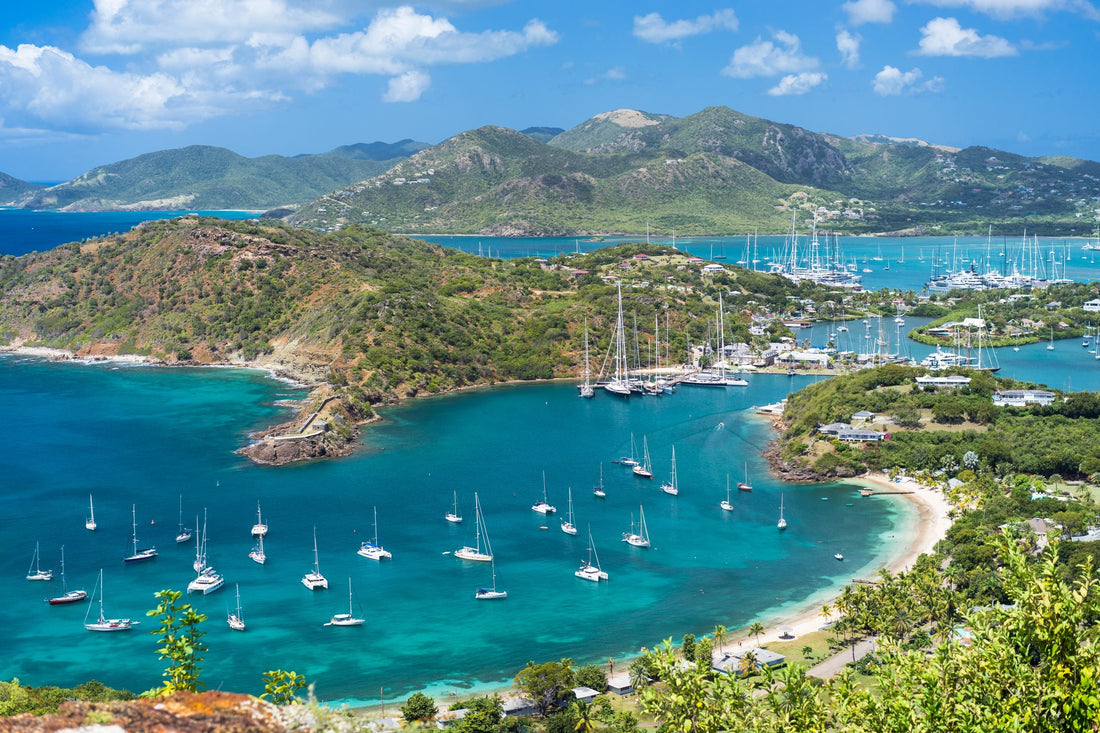 Best Twitch Management Companies in Antigua and Barbuda
