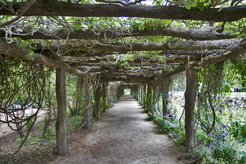 Top or Best Graphics for Streamers Agencies and Companies in Chapel Hill, North Carolina