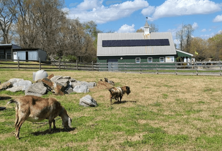 Top or Best Custom Graphics for Videos Agencies and Companies in Severn, Maryland