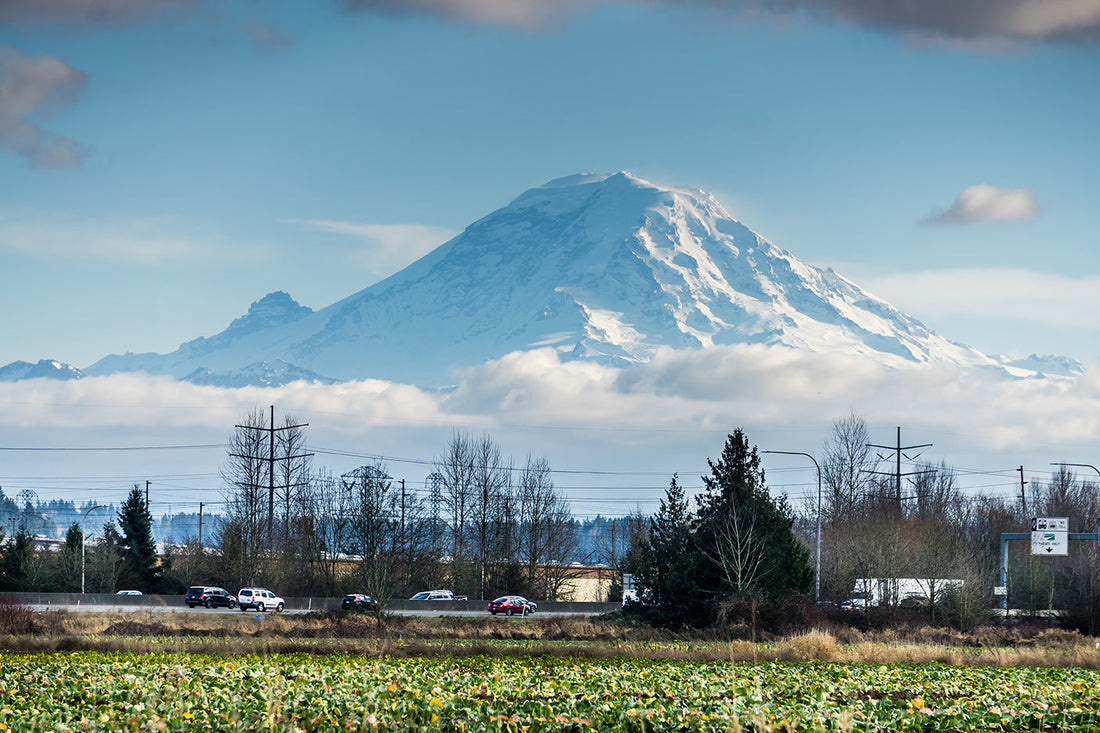Top or Best Copywriting Agencies and Companies in Auburn, Washington