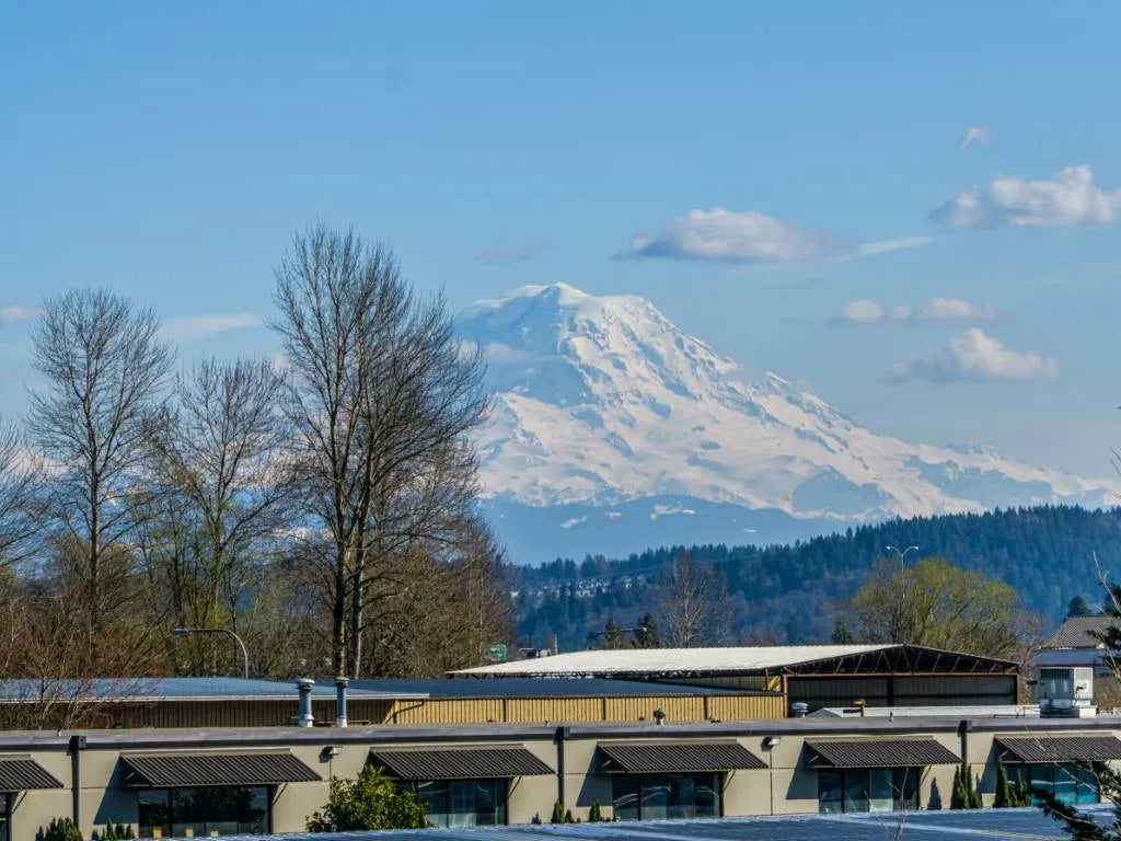 Top or Best Snapchat Management Agencies and Companies in Auburn, Washington