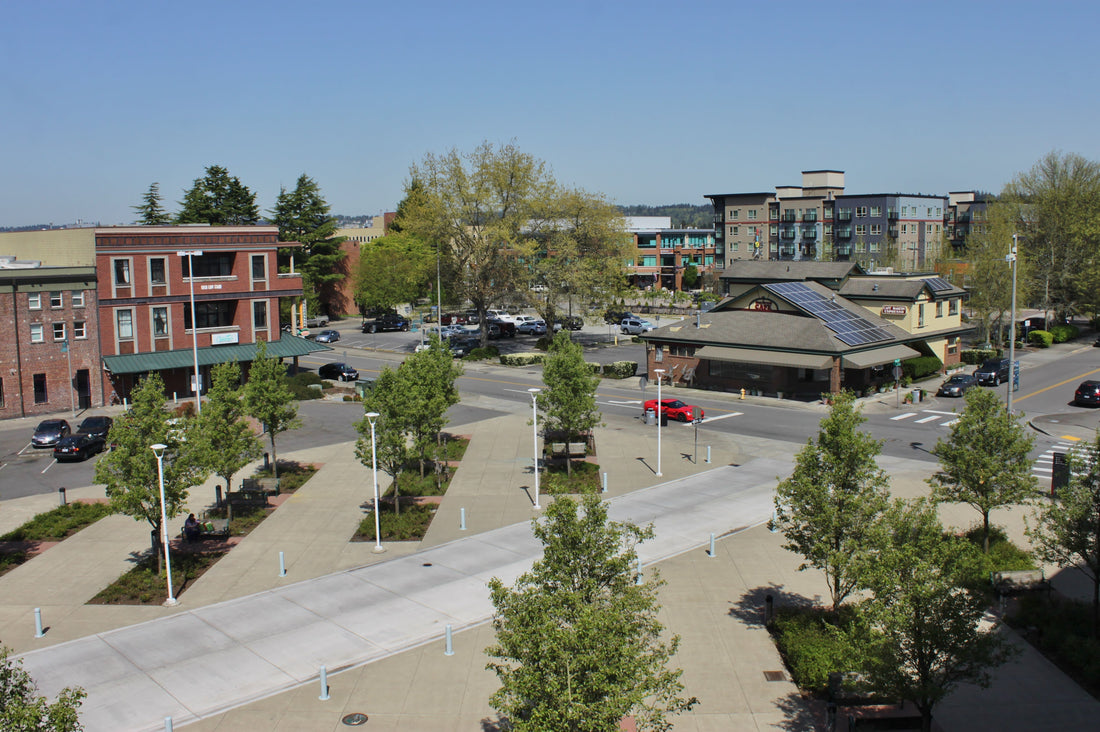 Top or Best Mural Design Agencies and Companies in South Hill, Washington