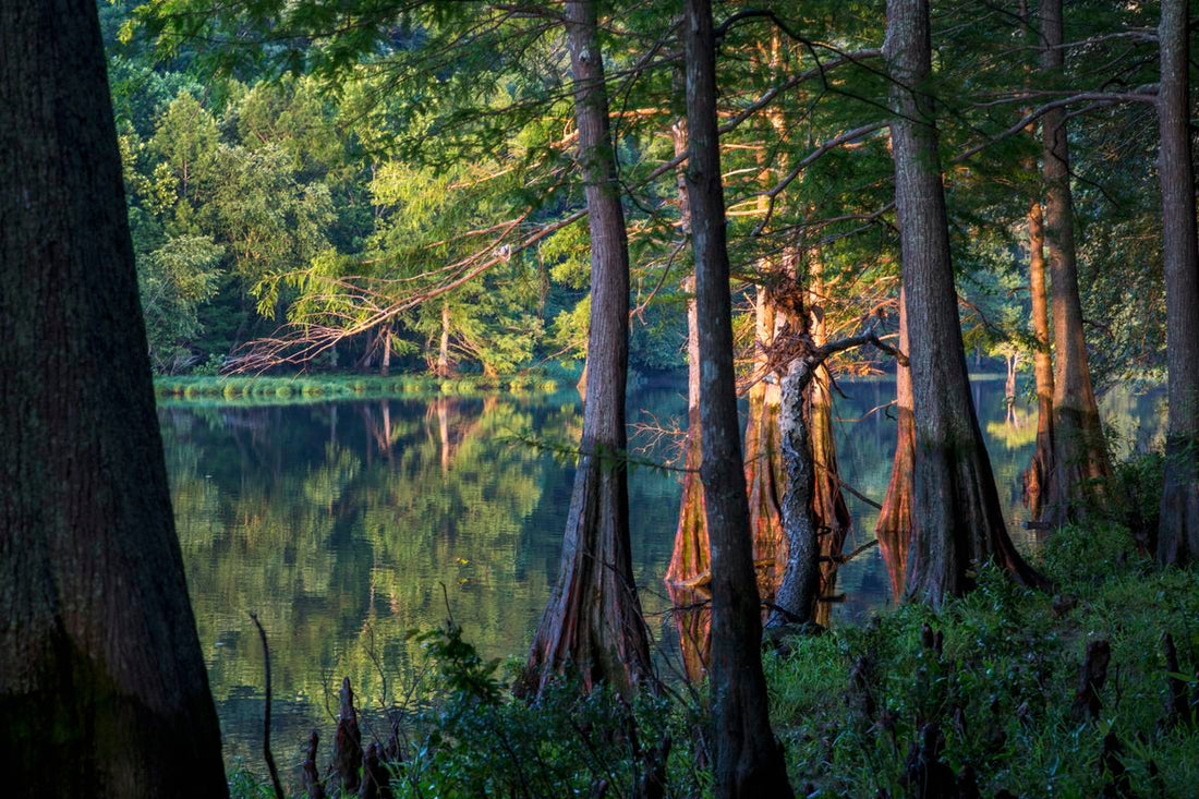 Top or Best Graphic Design Agencies and Companies in Broken Arrow, Oklahoma