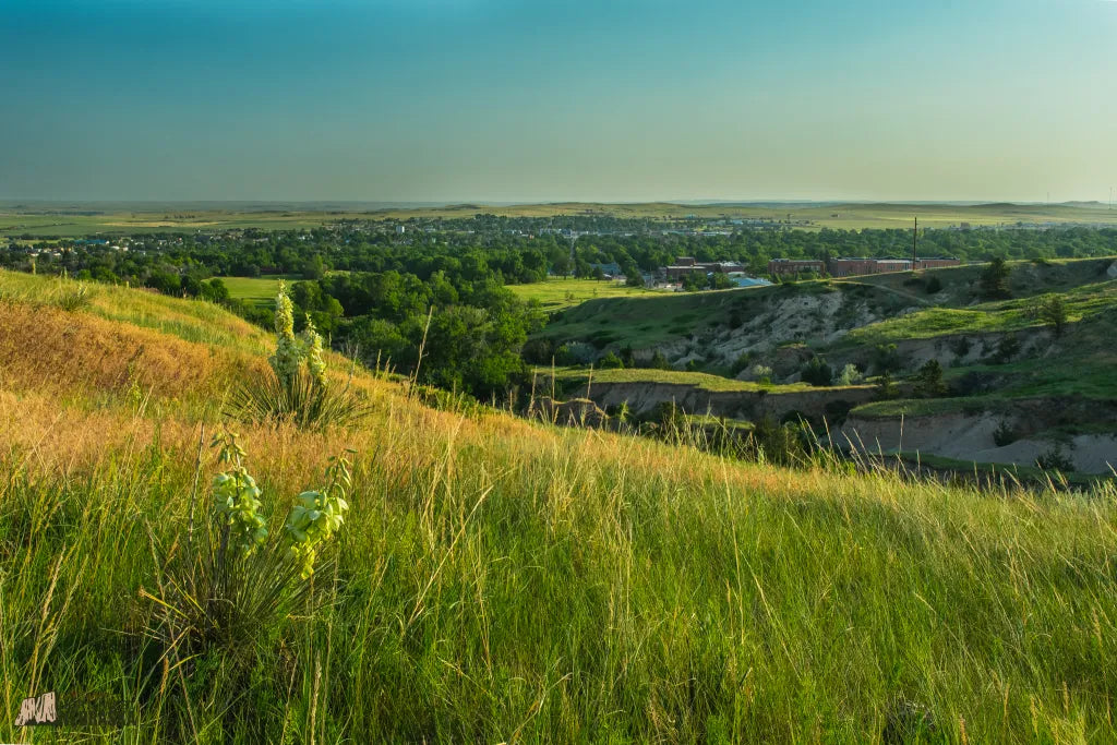 Top or Best Graphic Design Subscription Agencies and Companies in Chalco, Nebraska