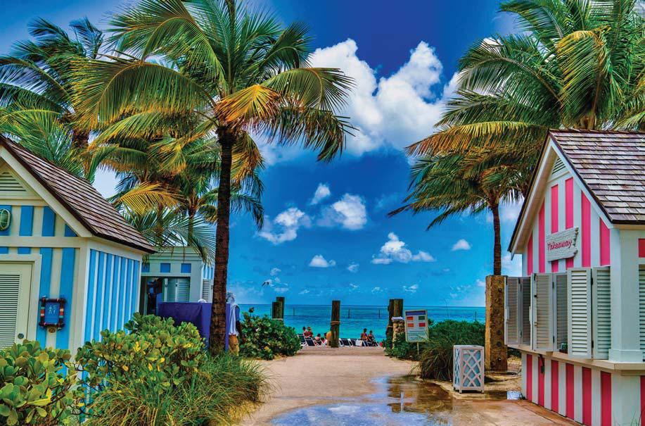 Top Logo Animation Agencies in the Bahamas