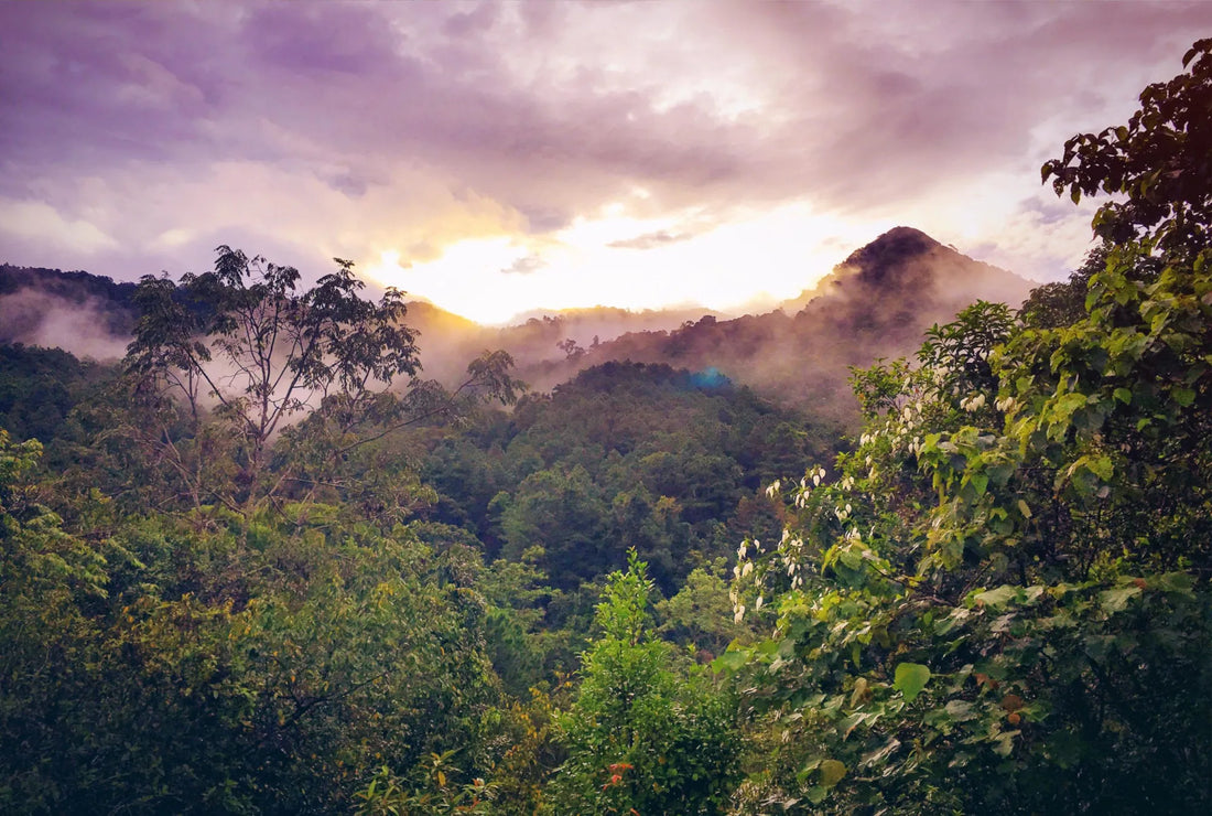 Top or Best Talent Management Agencies and Companies in Cameroon