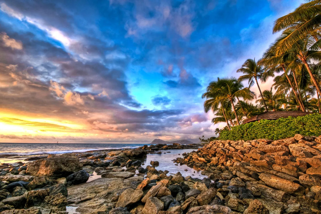 Top or Best Logo Design Agencies and Companies in Kapolei, Hawaii