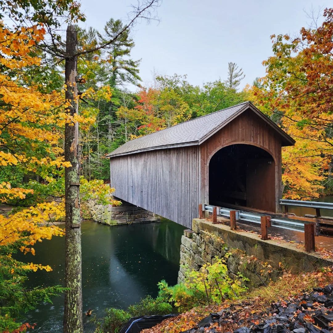 Top or Best Graphic Design Subscription Agencies and Companies in Windham, Maine