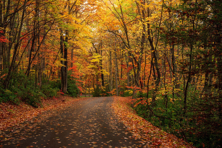 Top or Best Copywriting Agencies and Companies in Morgantown, West Virginia