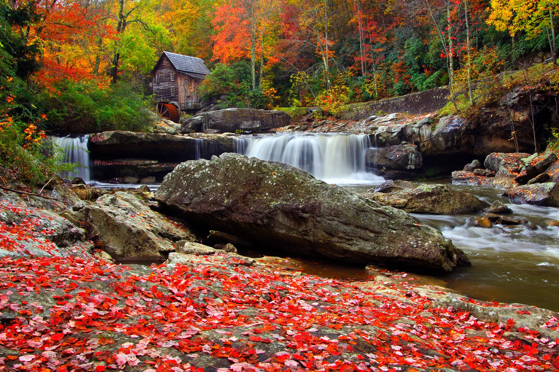 Top or Best Virtual Background Design Agencies and Companies in Huntington, West Virginia
