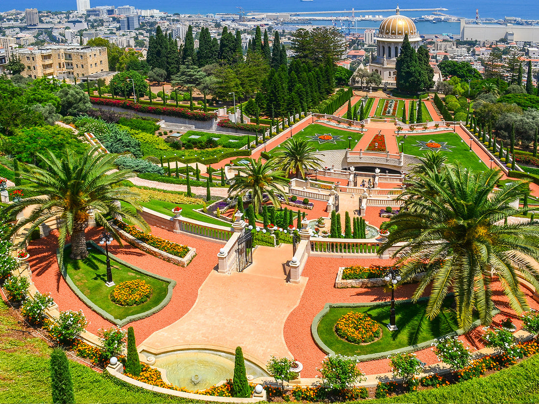 Top Social Media Management Company in Israel